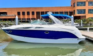 Yate Flippers 33’ Pies