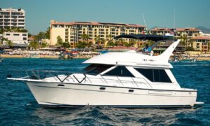 Yate Seaquel – 42 Pies